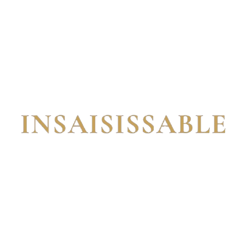 INSAISISSABLE